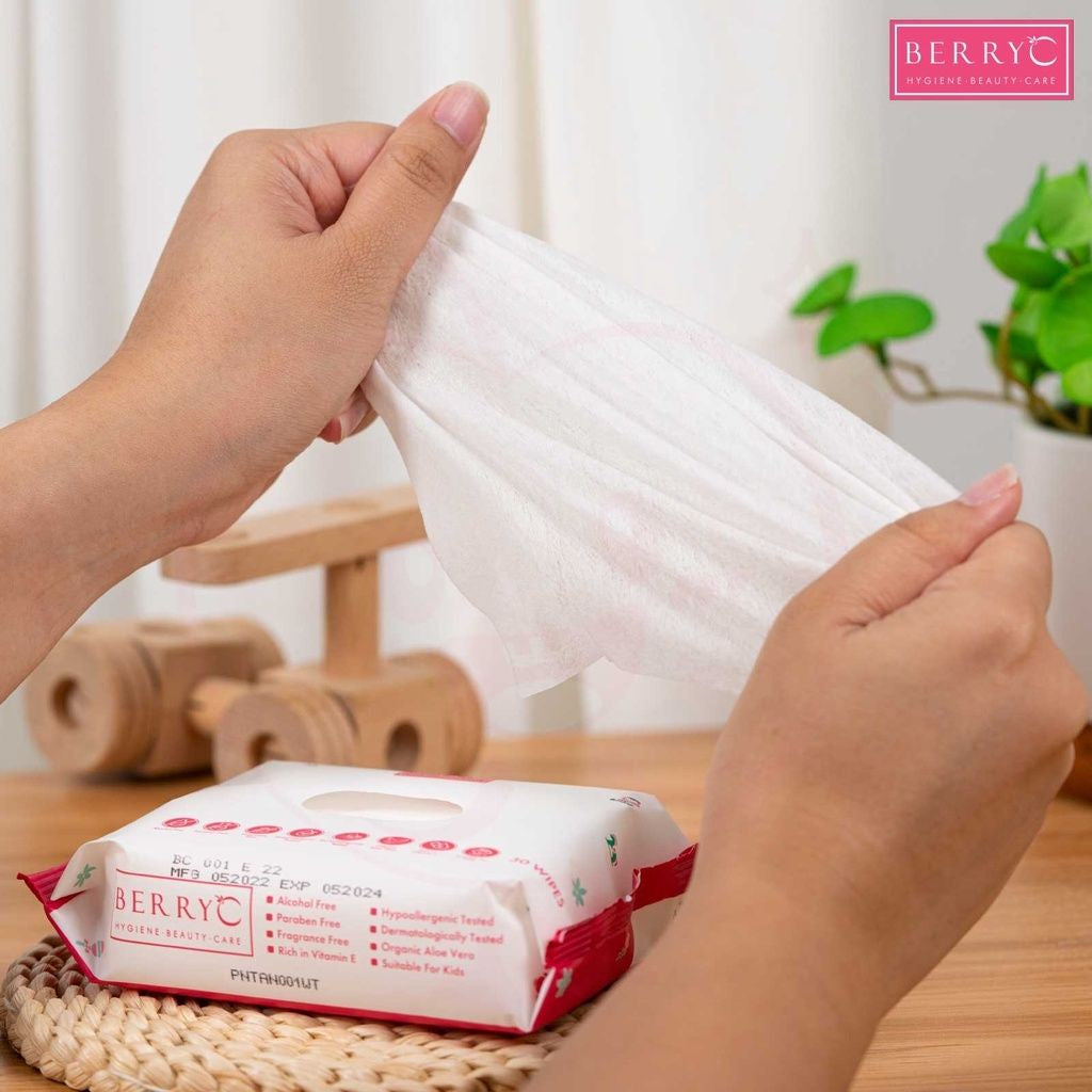 保湿消毒 · 湿纸巾 Antibacterial Wipes Tissue Baby Wipes (30 Pcs)